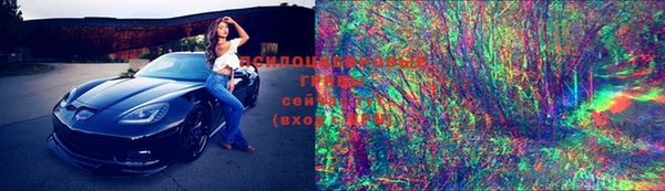дживик Аркадак